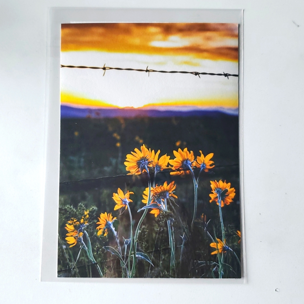 "Finding Light" 5x7 or 8x10‎ Paper Photograph Print by Karen Geerken Photography